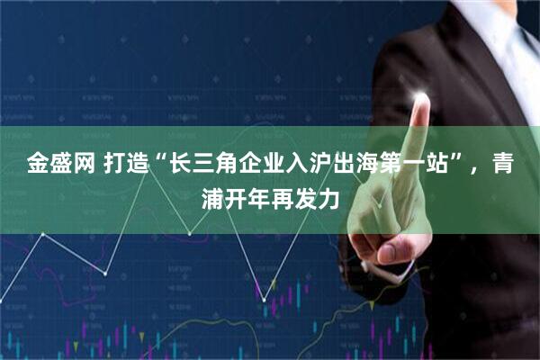 金盛网 打造“长三角企业入沪出海第一站”，青浦开年再发力